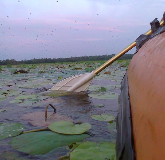 Otel Govipala Cottage