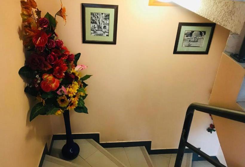 فندق Los Ilinizas