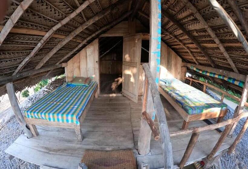 Bed and Breakfast Jungle Surf Camp