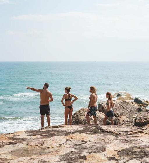 Bed and Breakfast Jungle Surf Camp