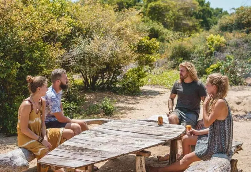 Aamiaismajoitus (B&B) Jungle Surf Camp