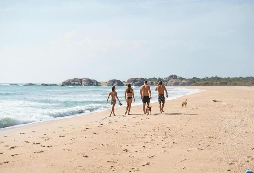 Bed and Breakfast Jungle Surf Camp