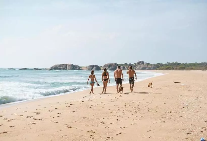 Aamiaismajoitus (B&B) Jungle Surf Camp