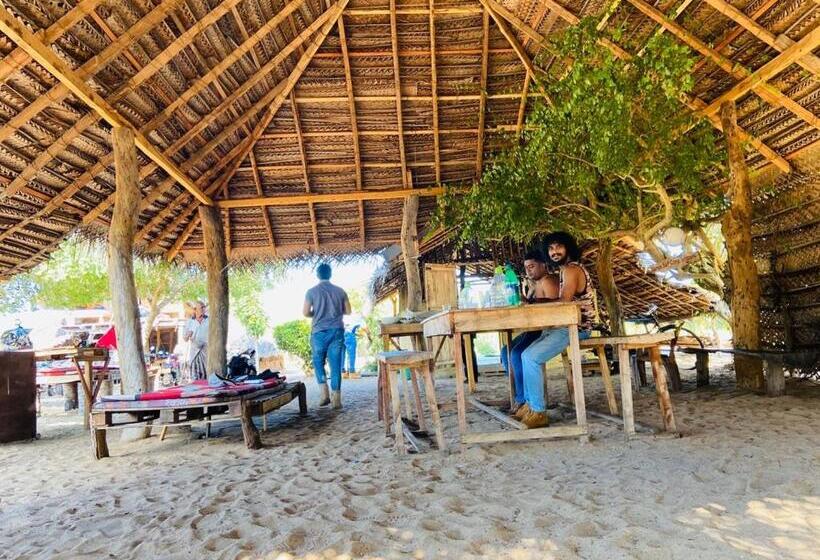 Bed and Breakfast Jungle Surf Camp