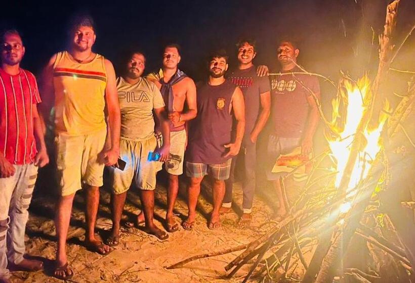 Bed and Breakfast Jungle Surf Camp