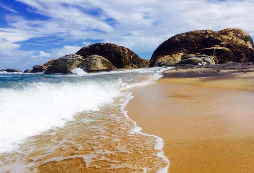 Bed and Breakfast Jungle Surf Camp