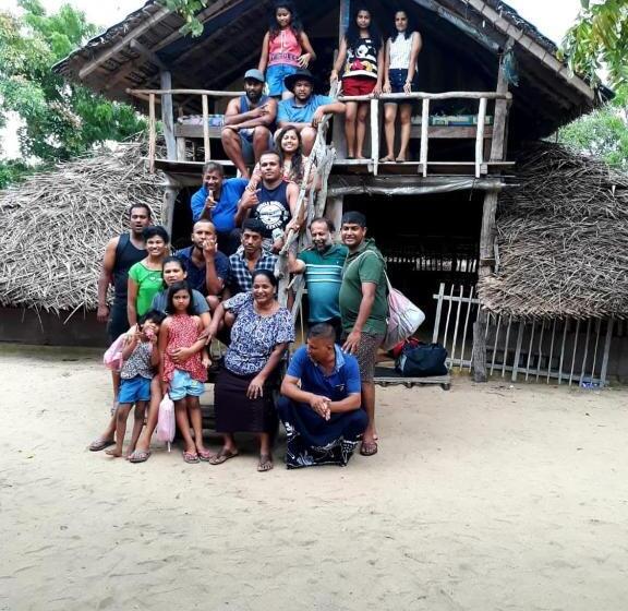 Bed and Breakfast Jungle Surf Camp