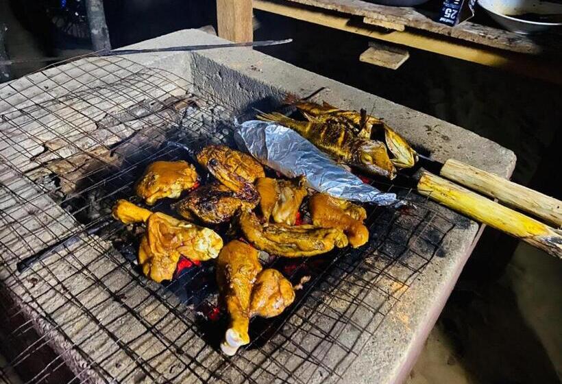 Bed and Breakfast Jungle Surf Camp