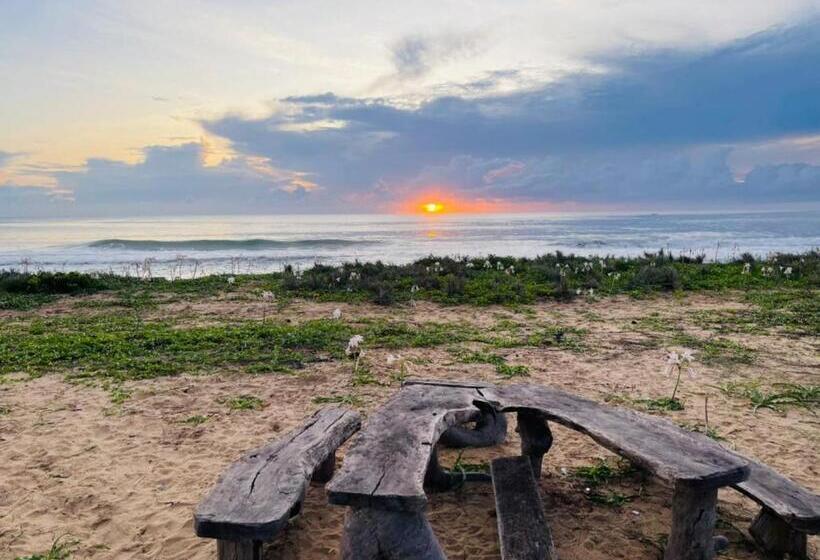 Bed and Breakfast Jungle Surf Camp