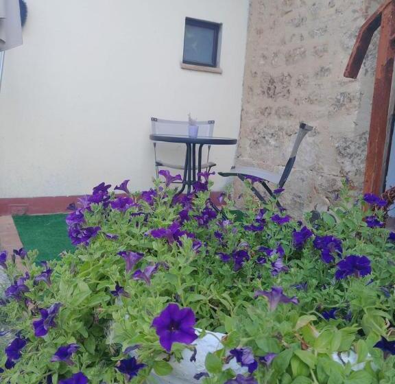 ペンション Villa Renai