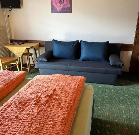 Bed and Breakfast Frühstückspension Danklmaier