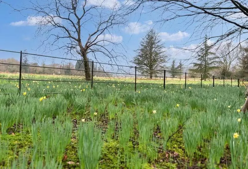 Aamiaismajoitus (B&B) Goytre Hall