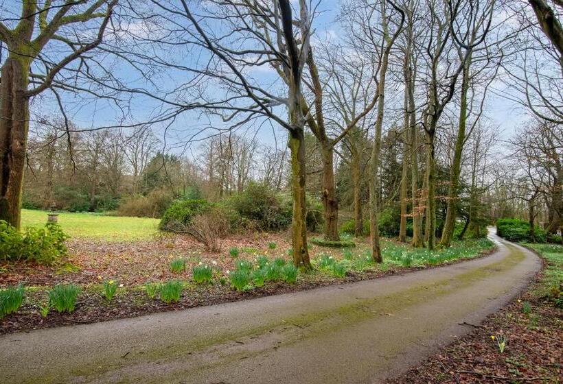 مبيت وإفطار Goytre Hall