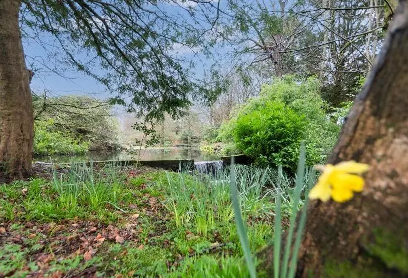 Aamiaismajoitus (B&B) Goytre Hall