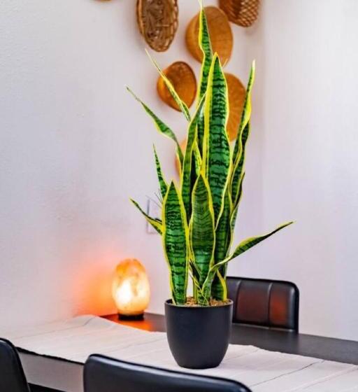 هتل Adventure S Oasis, Venture Base Unit 4