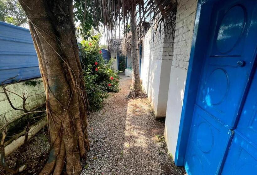 Hotel Calaila Premium Plunge Pool Villas