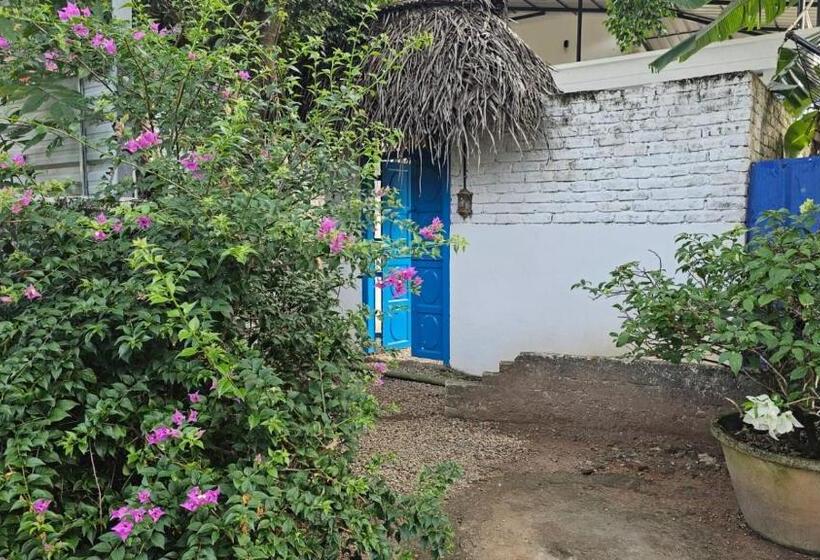 Hotel Calaila Premium Plunge Pool Villas