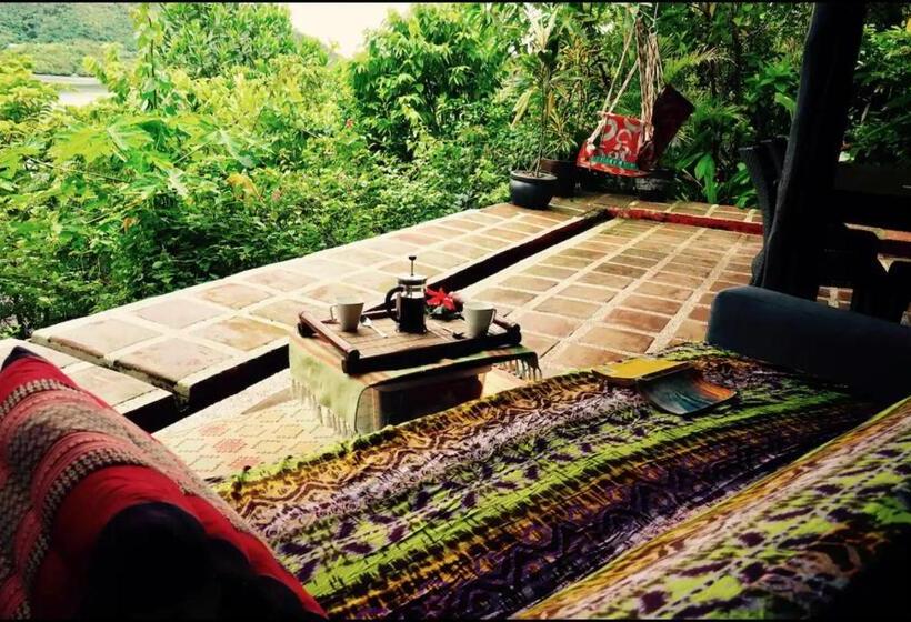 膳宿费 Balihuts Guesthouse