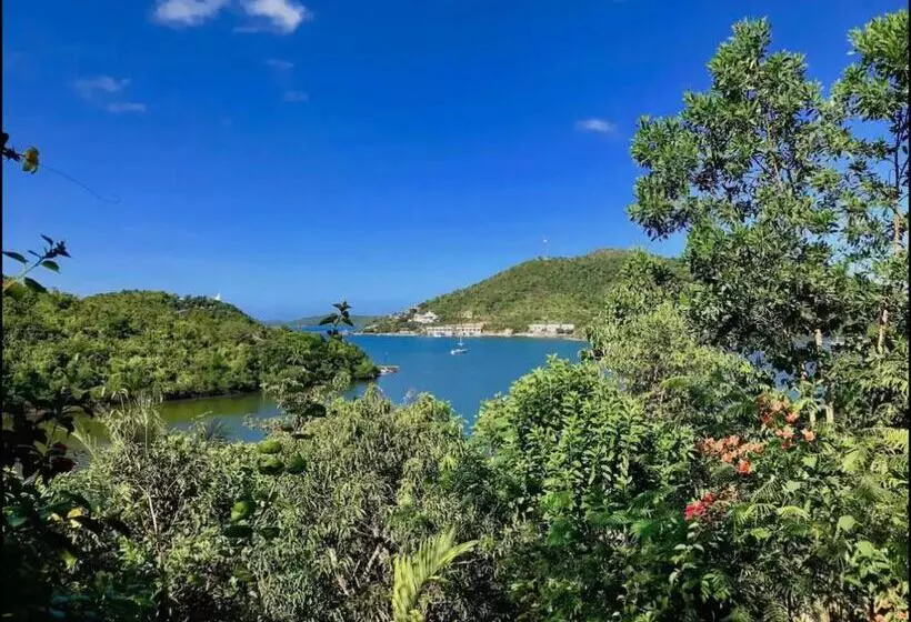 Majatalo Balihuts Guesthouse