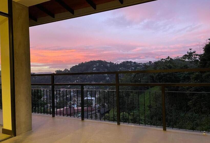 פנסיון Lush Breeze