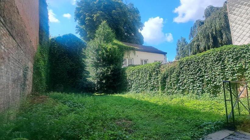 هاستل Smallfunnyworld Brussels