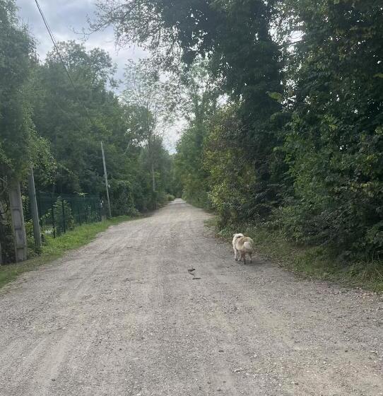 צימר Mini Studio Et Espace Extérieur