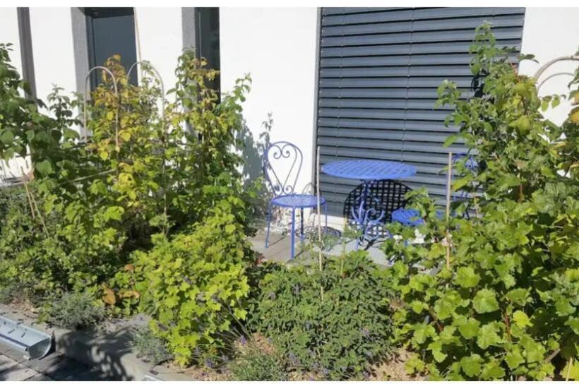 تختخواب و صبحانه Studio, Entrée Par Terrasse