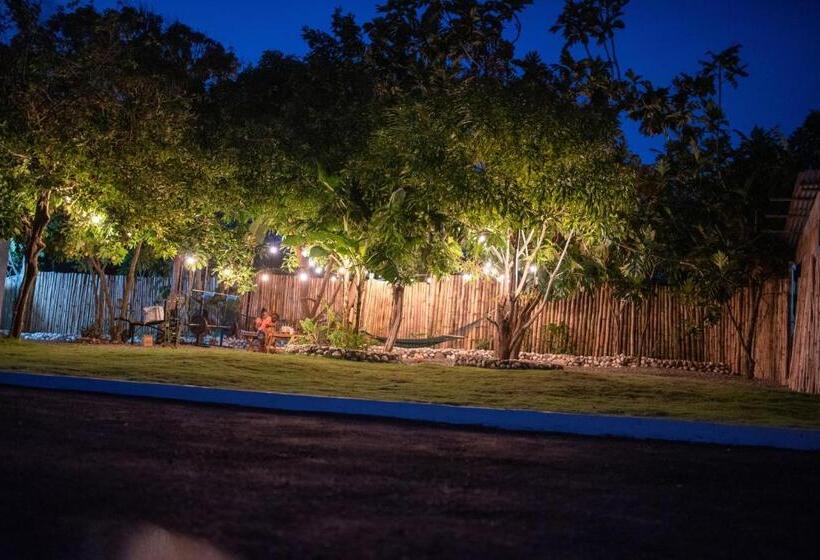 پانسیون Ods Oasis