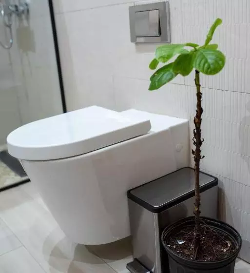 پانسیون Ods Oasis