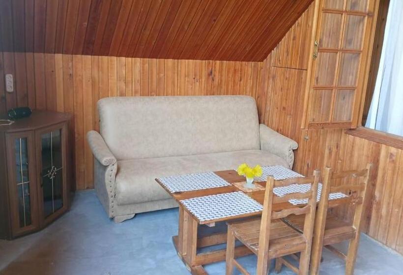 پانسیون Horizont Borjomi