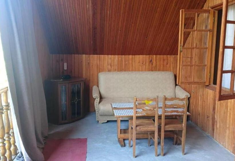 پانسیون Horizont Borjomi