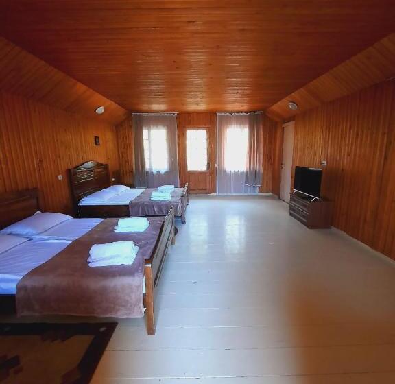 پانسیون Horizont Borjomi