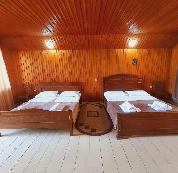 پانسیون Horizont Borjomi