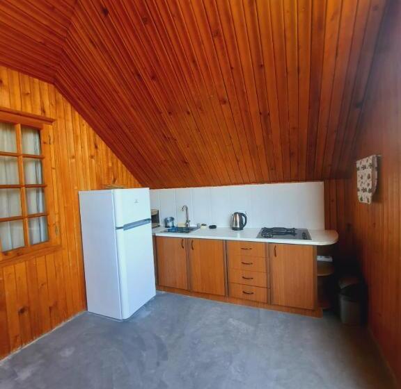 پانسیون Horizont Borjomi