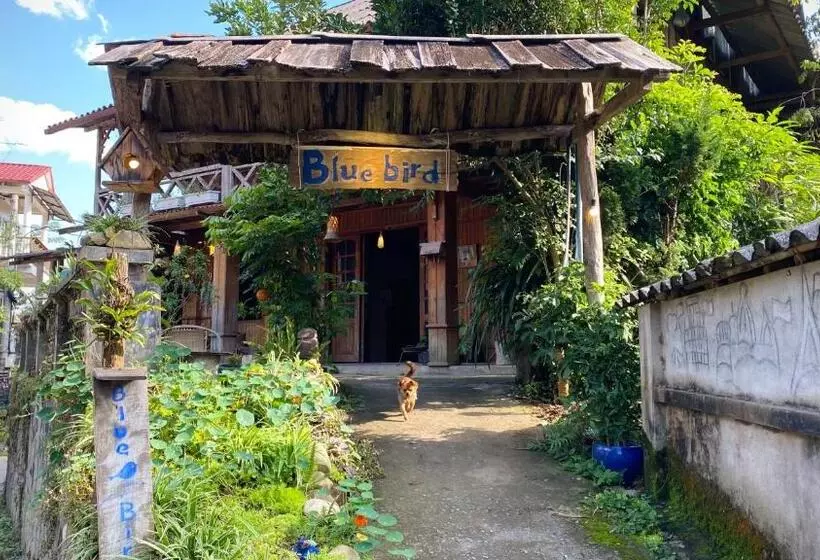 تختخواب و صبحانه Bluebird   Cozy Indigo Home