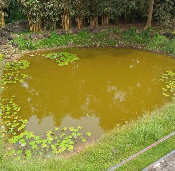 فندق Field Seven