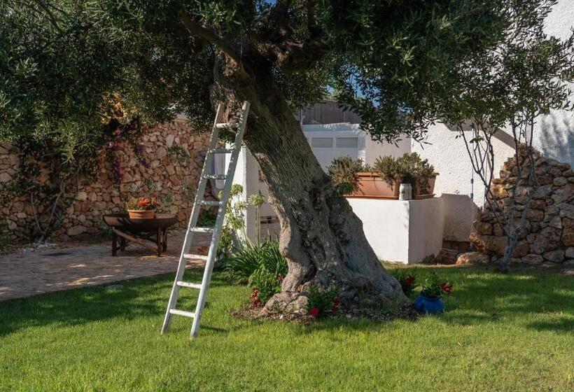 פנסיון Nialè Luxury & Relax