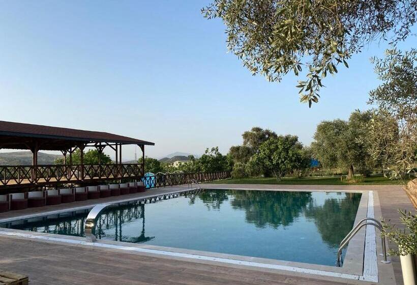 ペンション çırağan Deluxe Botanik Park Bungolov Evleri