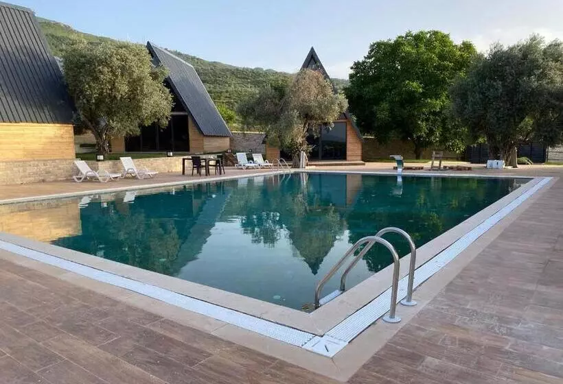 ペンション çırağan Deluxe Botanik Park Bungolov Evleri