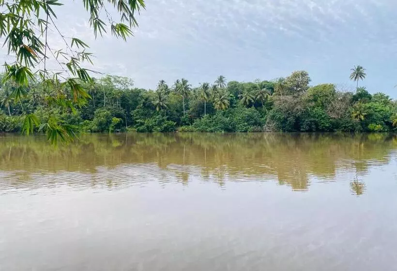 Majatalo Zen Aura Living