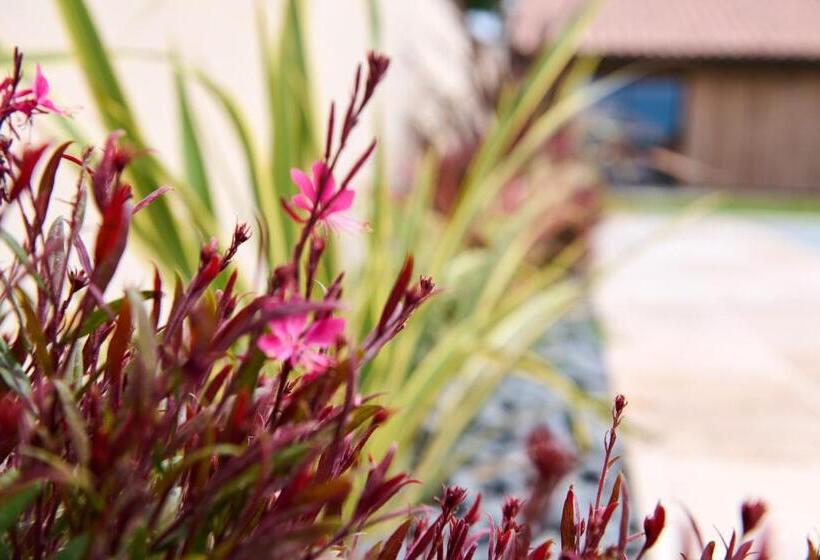 住宿加早餐  Le Repaire Lagardère