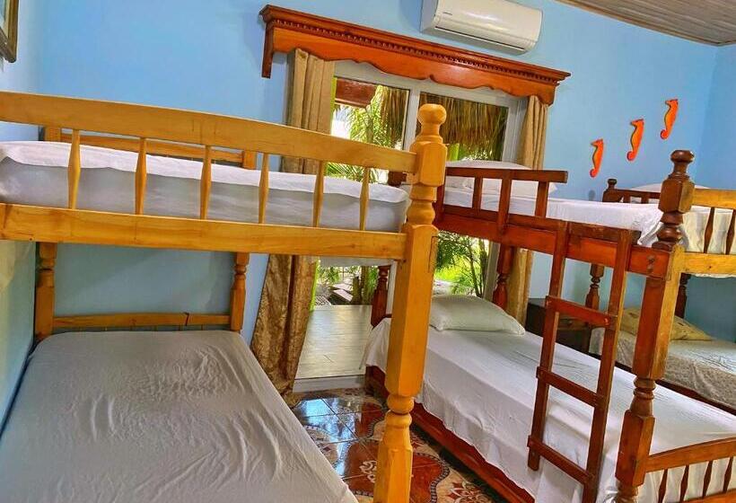 هتل Playa Morena El Paredon