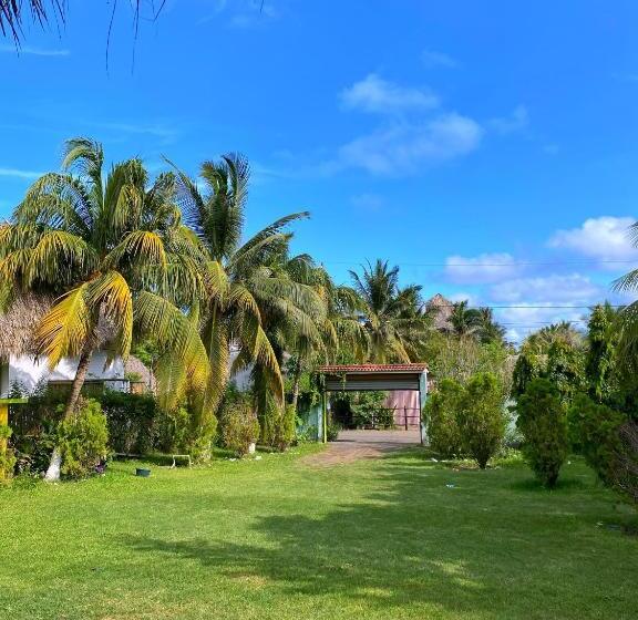 هتل Playa Morena El Paredon