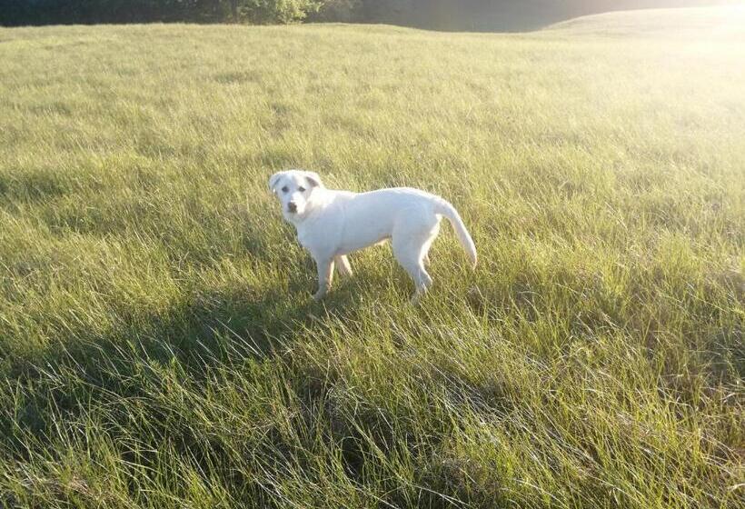 Пансион La Casetta Di Maria Cristina