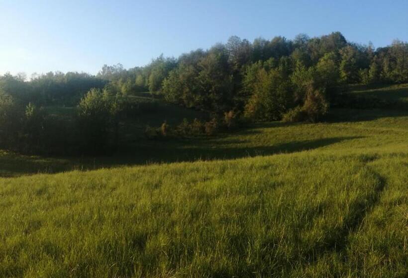 膳宿费 La Casetta Di Maria Cristina