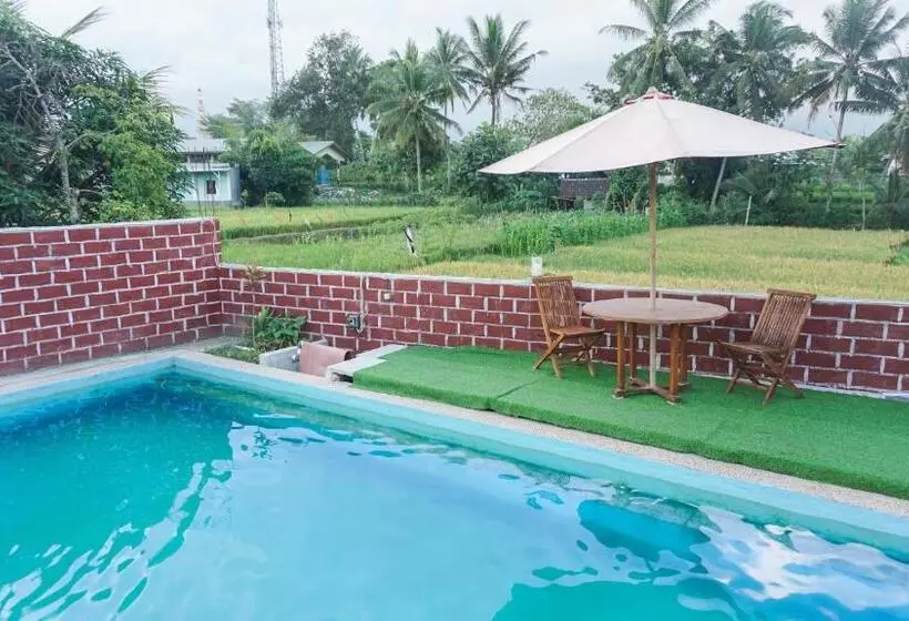 ペンション Rinjani Terrace Cottage & Resto