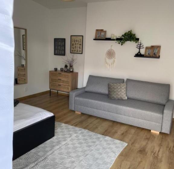 פנסיון Statek U Kapličky Pokoje