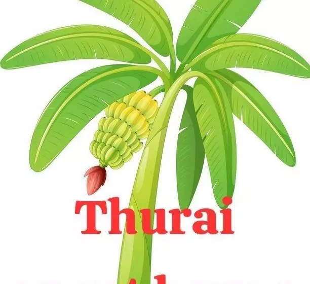 پانسیون Thurai Guest House