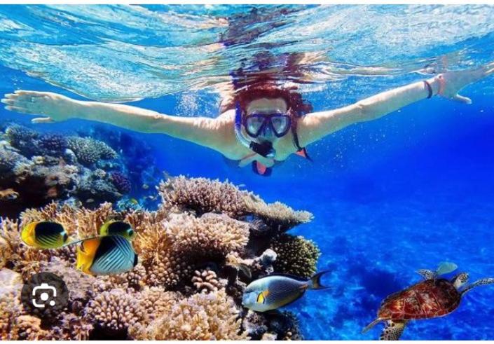 פנסיון Villa Jepun Lovina