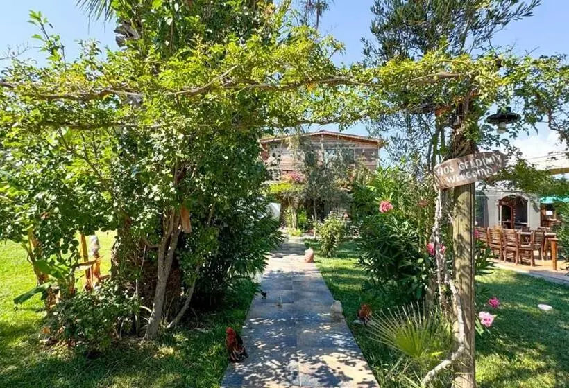 Aamiaismajoitus (B&B) Gaia Bungalow